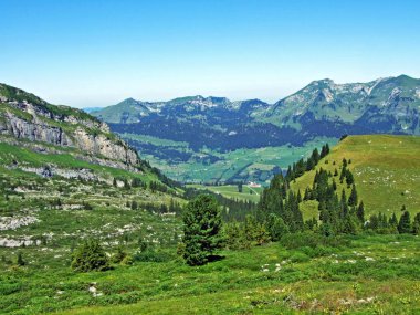 Alpine mera ve çayırlar Alviergruppe dağ silsilesi - Canton St. Gallen, İsviçre eteklerinde