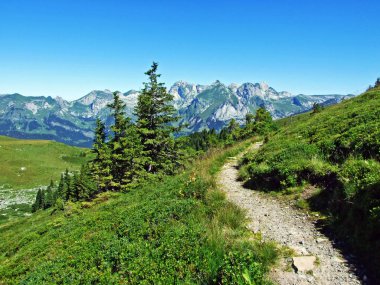 Alpine mera ve çayırlar Alviergruppe dağ silsilesi - Canton St. Gallen, İsviçre eteklerinde
