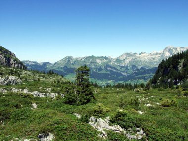 Alpine mera ve çayırlar Alviergruppe dağ silsilesi - Canton St. Gallen, İsviçre eteklerinde