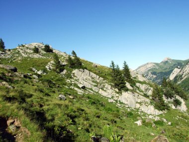 Alpine mera ve çayırlar Alviergruppe dağ silsilesi - Canton St. Gallen, İsviçre eteklerinde