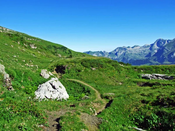 高山の牧草地と Alviergruppe ザンクト ガレンのカントン スイス連邦共和国の斜面の牧草地 — ストック写真