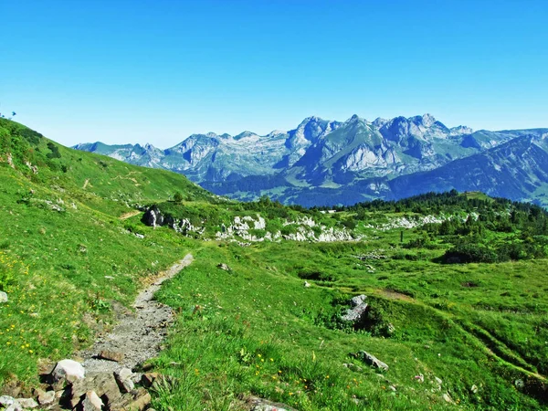 Alpina Betesmarker Och Ängar Backarna Alviergruppe Bergskedja Kantonen Sankt Gallen — Stockfoto