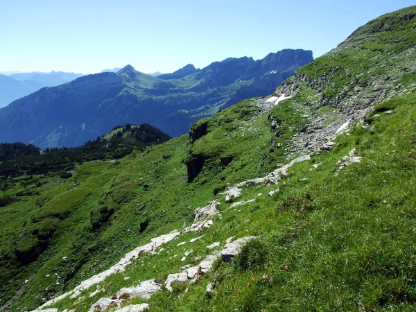 Pastagens Prados Alpinos Nas Encostas Cordilheira Alviergruppe Cantão Gallen Suíça — Fotografia de Stock