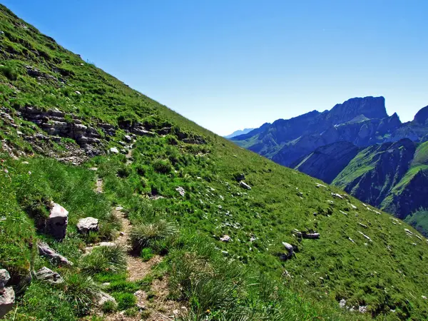 Pastos Alpinos Prados Las Laderas Cordillera Alviergruppe Cantón Gallen Suiza —  Fotos de Stock