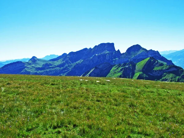 Пастухи Метеоры Склонах Горного Хребта Альвиль Кантон Санкт Галлен Швейцария — стоковое фото