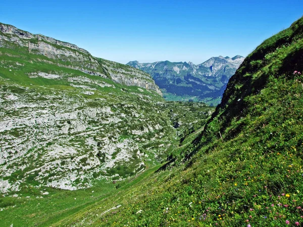 Pastos Alpinos Prados Las Laderas Cordillera Alviergruppe Cantón Gallen Suiza —  Fotos de Stock