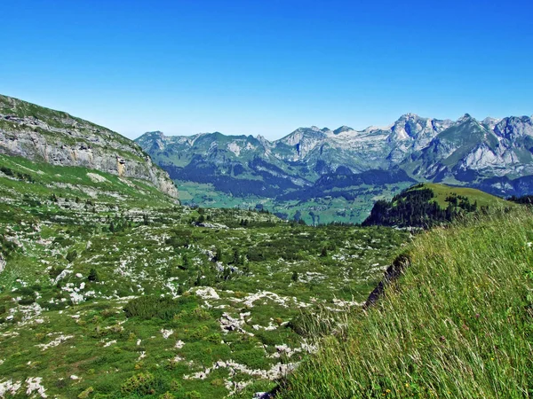 Alpine Pastures Meadows Slopes Alviergruppe Mountain Range Canton Gallen Switzerland — Stock Photo, Image