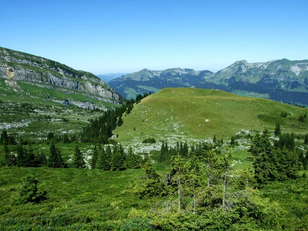 高山の牧草地と Alviergruppe ザンクト ガレンのカントン スイス連邦共和国の斜面の牧草地 — ストック写真