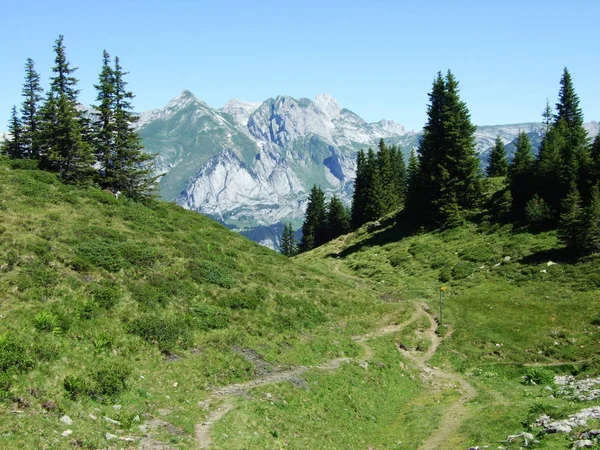 Alpages Prairies Alpines Sur Les Pentes Chaîne Montagnes Alviergruppe Canton — Photo