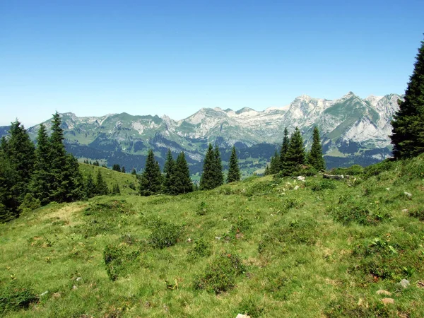 高山の牧草地と Alviergruppe ザンクト ガレンのカントン スイス連邦共和国の斜面の牧草地 — ストック写真