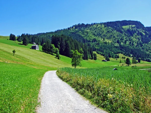 Alpenweiden Weiden Hellingen Van Alviergruppe Bergketen Kanton Gallen Zwitserland — Stockfoto