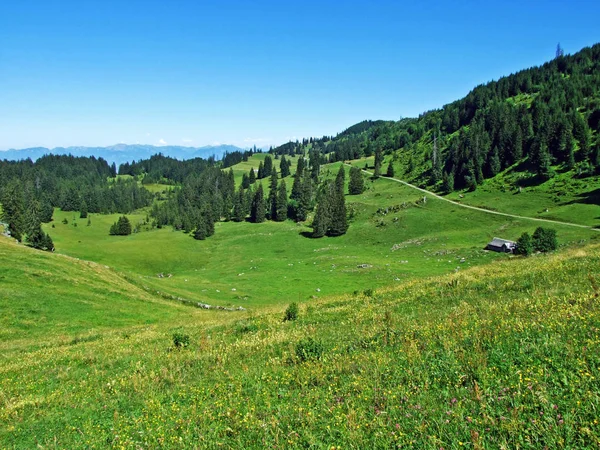 Almen Und Wiesen Den Hängen Der Alviergruppe Kanton Gallen Schweiz — Stockfoto