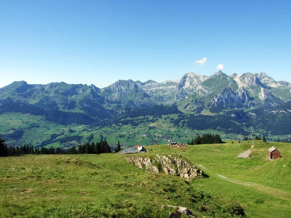 Almen Und Wiesen Den Hängen Der Alviergruppe Kanton Gallen Schweiz — Stockfoto