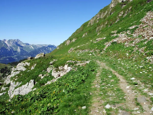 Almen Und Wiesen Den Hängen Der Alviergruppe Kanton Gallen Schweiz — Stockfoto