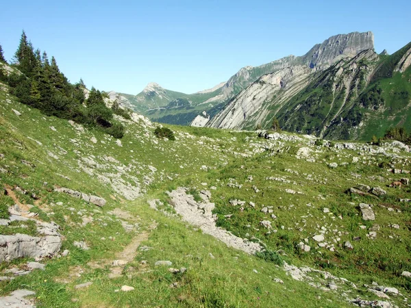 Alpine Pastures Meadows Slopes Alviergruppe Mountain Range Canton Gallen Switzerland — Stock Photo, Image