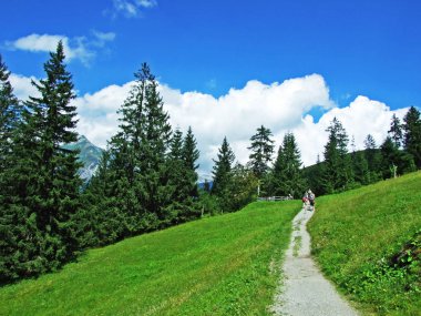Alpine mera ve çayırlar Alviergruppe dağ silsilesi - Canton St. Gallen, İsviçre eteklerinde