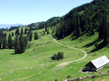 Alviergruppe Sıradağları 'nın yamaçlarında geleneksel kırsal mimari ve Hayvancılık Çiftlikleri-St. Gallen Kantonu, Isviçre