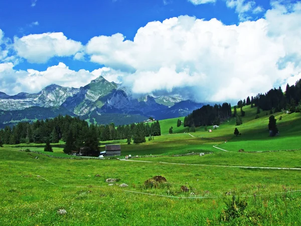 Alpské Pastviny Louky Svazích Alviergruppe Pohoří Kantonu Gallen Švýcarsko — Stock fotografie