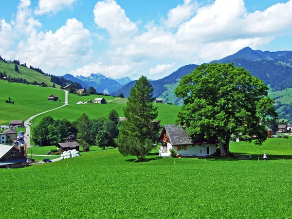 Alpine Pastures Meadows Slopes Alviergruppe Mountain Range Canton Gallen Switzerland — Stock Photo, Image