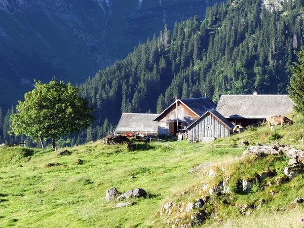 Architecture Rurale Traditionnelle Élevages Sur Les Pentes Chaîne Montagnes Alviergruppe — Photo
