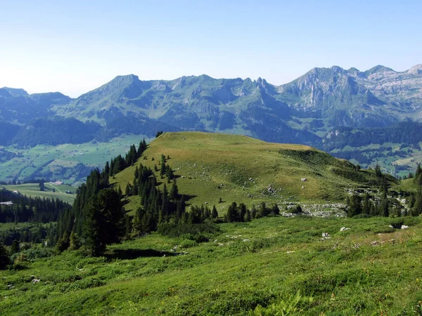 Pastos Alpinos Prados Las Laderas Cordillera Alviergruppe Cantón Gallen Suiza —  Fotos de Stock