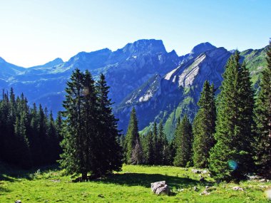 Alp zirveleri ve Alviergruppe Sıradağları 'nın kayalık manzarası-St. Gallen Kantonu, Isviçre