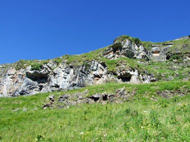 Alviergruppe Sıradağları taşlar ve kayalar-St. Gallen Kantonu, Isviçre
