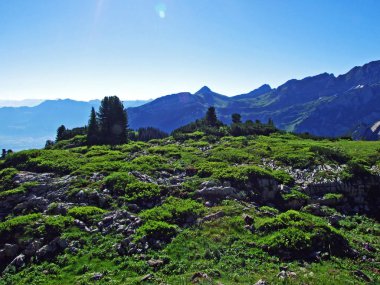 Alviergruppe Sıradağları taşlar ve kayalar-St. Gallen Kantonu, Isviçre