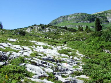 Alviergruppe Sıradağları taşlar ve kayalar-St. Gallen Kantonu, Isviçre