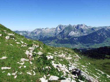 Alviergruppe Sıradağları taşlar ve kayalar-St. Gallen Kantonu, Isviçre