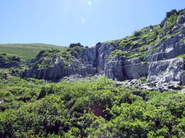 Alviergruppe Sıradağları taşlar ve kayalar-St. Gallen Kantonu, Isviçre