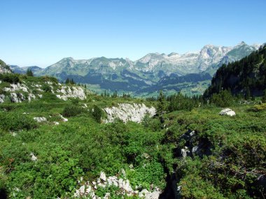 Alviergruppe Sıradağları taşlar ve kayalar-St. Gallen Kantonu, Isviçre