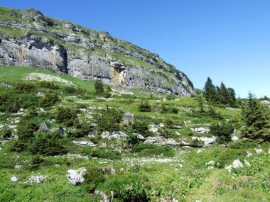Alviergruppe Sıradağları taşlar ve kayalar-St. Gallen Kantonu, Isviçre