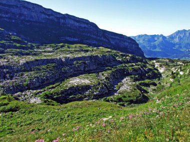 Alviergruppe Sıradağları taşlar ve kayalar-St. Gallen Kantonu, Isviçre
