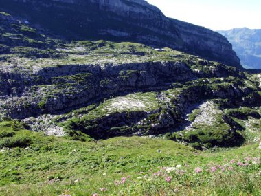 Alviergruppe Sıradağları taşlar ve kayalar-St. Gallen Kantonu, Isviçre