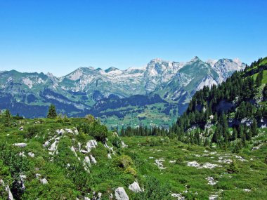 Alpstein Sıradağları 'nın alp zirveleri ve kayalık manzarası-St. Gallen Kantonu, Isviçre