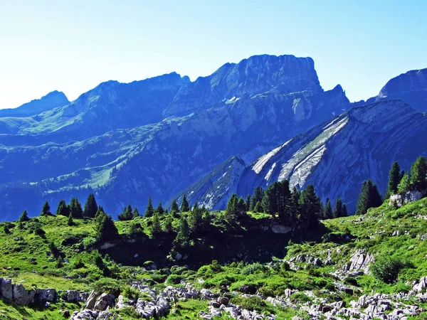 Alpine Toppen Rotsachtige Landschap Van Alviergruppe Bergketen Kanton Gallen Zwitserland — Stockfoto