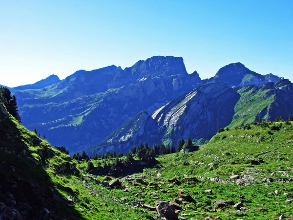 Picos Alpinos Paisaje Rocoso Cordillera Alviergruppe Cantón Gallen Suiza — Foto de Stock