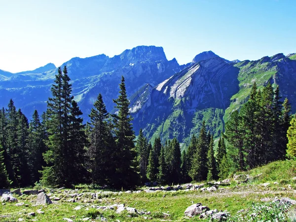 Alpine Toppen Rotsachtige Landschap Van Alviergruppe Bergketen Kanton Gallen Zwitserland — Stockfoto