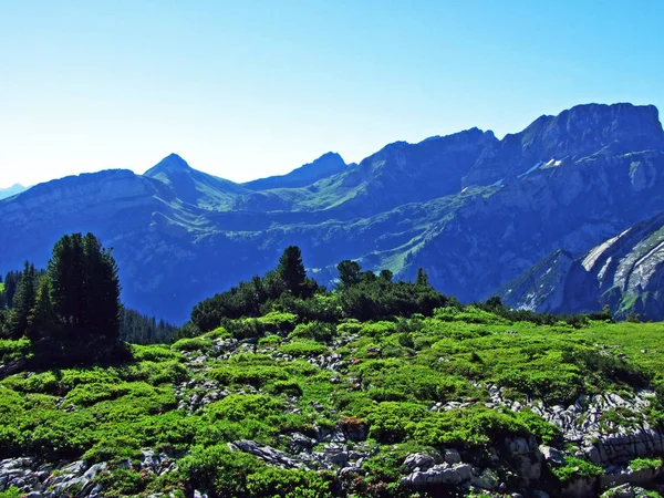 Cime Alpine Paesaggio Roccioso Della Catena Montuosa Dell Alviergruppe Cantone — Foto Stock