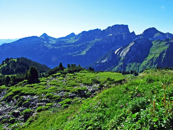 Alpine Toppen Rotsachtige Landschap Van Alviergruppe Bergketen Kanton Gallen Zwitserland — Stockfoto