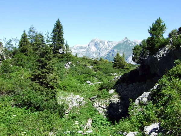 Камни Скалы Горного Хребта Альвьергруппе Кантон Санкт Галлен Швейцария — стоковое фото