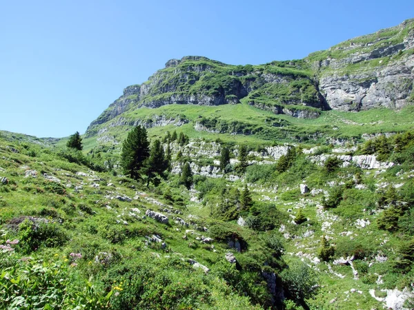 Pierres Rochers Chaîne Montagnes Alviergruppe Canton Saint Gall Suisse — Photo