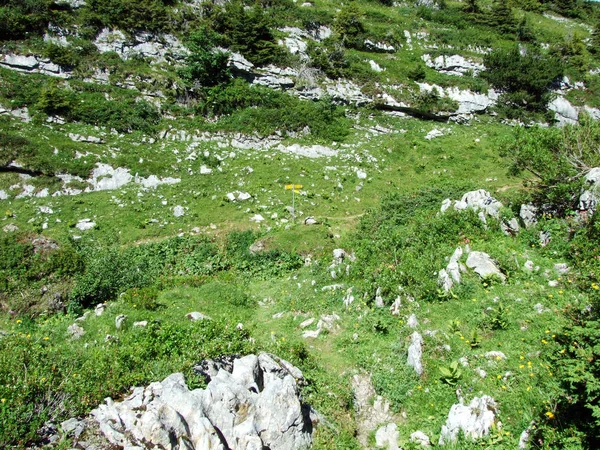 Stenen Rotsen Van Alviergruppe Bergketen Kanton Gallen Zwitserland — Stockfoto
