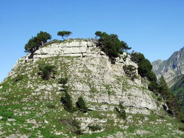 Piedras Rocas Cordillera Alviergruppe Cantón Gallen Suiza — Foto de Stock