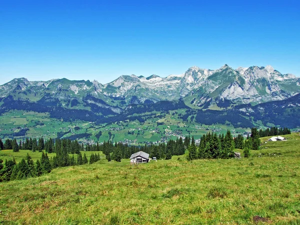 Alpine Toppen Rotsachtige Landschap Van Alpstein Bergketen Kanton Gallen Zwitserland — Stockfoto