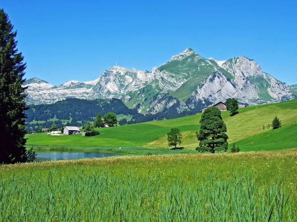 Picos Alpinos Paisaje Rocoso Cordillera Alpstein Cantón Gallen Suiza —  Fotos de Stock