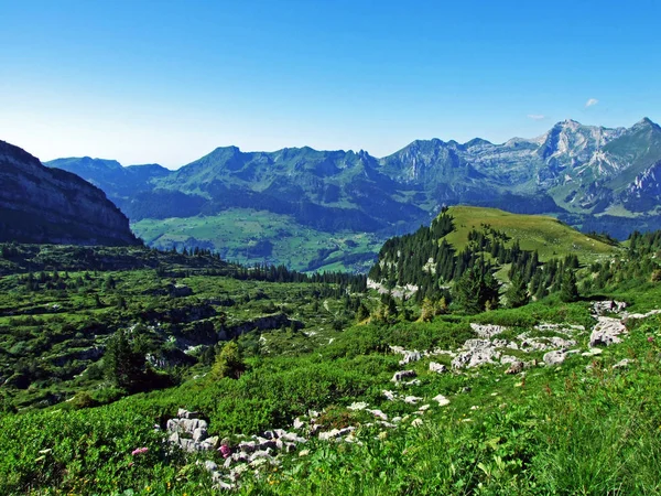 Alp Toppar Och Klippiga Landskap Bergs Kedjan Alpstein Kantonen Gallen — Stockfoto