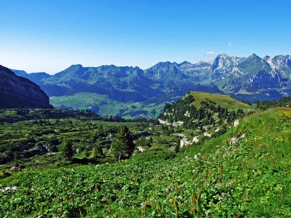 Berggipfel Und Felslandschaft Des Alpsteingebirges Kanton Gallen Schweiz — Stockfoto