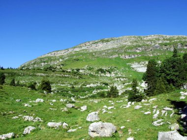 Alviergruppe Sıradağları 'nda alp Zirvesi Gamserrugg-St. Gallen Kantonu, Isviçre